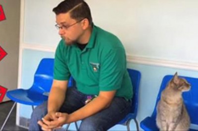 Jego pies zaginął 8 lat temu! Teraz zobacz kto przechodzi przez  drzwi za jego plecami!