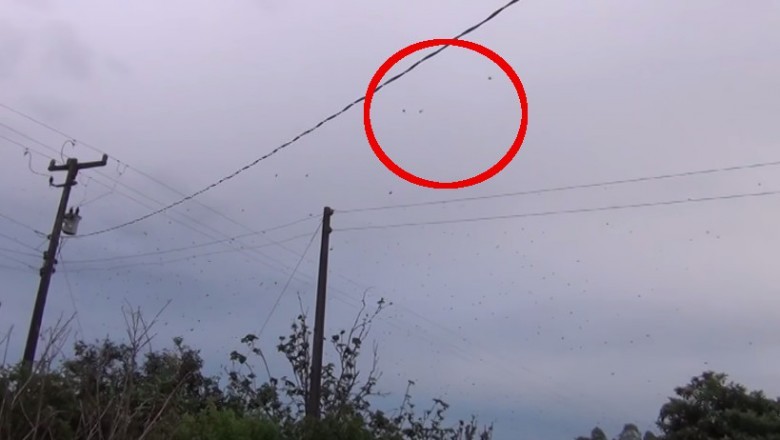 Patrząc w niebo był przekonany, że to ptaki! Jak zrozumiałam co to zaczęłam krzyczeć!