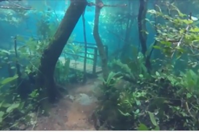 Niezwykły widok zalanego świata! Tak wygląda podwodny las po wylaniu rzeki!