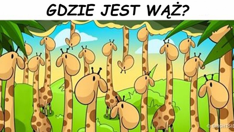 Tylko 15% ludzi jest w stanie rozszyfrować te zagadki w mniej niż 30 sekund! Wytęż wzrok i sprawdź!