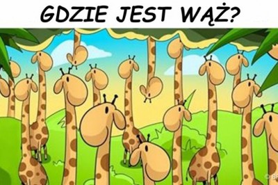 Tylko 15% ludzi jest w stanie rozszyfrować te zagadki w mniej niż 30 sekund!  Wytęż wzrok i sprawdź!