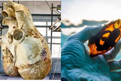 15 naturalnych rzeczy, w które ciężko uwierzyć że są prawdziwe! Mało ludzi to widziało na żywo!