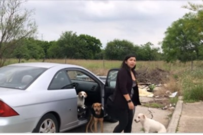 Przyłapała ich gdy wyrzucali psy z auta na końcu drogi! Jak zaczęła nagrywać szybko uciekli!