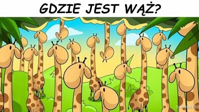 Jedynie 15% ludzi jest w stanie rozszyfrować te zagadki w mniej niż 30 sekund! Wytęż wzrok i sprawdź!