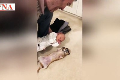 Nagrała pierwsze spotkanie ich nowo narodzonego dziecka z psem! Zwierzak zachował się idealnie! 