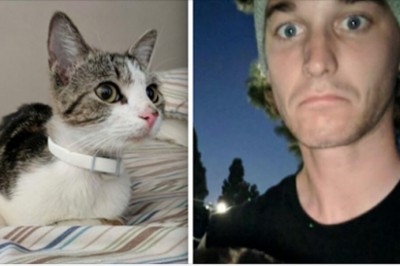 Załamany mężczyzna przygarnął do domu bezdomną kotkę! Następnego ranka przeżył wstrząs swojego życia! 