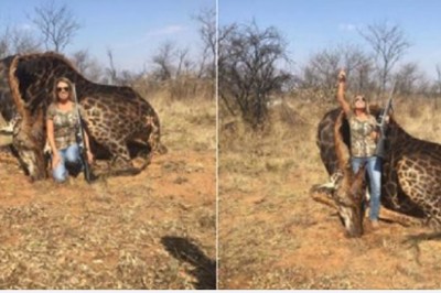 Zastrzeliła na polowaniu rzadki okaz czarnej żyrafy! Swoim trofeum postanowiła pochwalić się w sieci! 