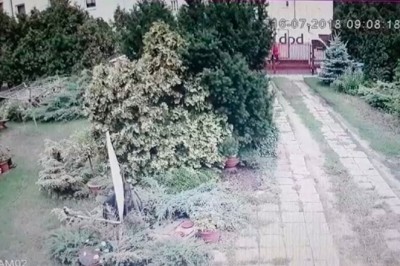 Co on sobie w ogóle myślał?! Tak kurier DPD dostarcza paczkę do klienta! 