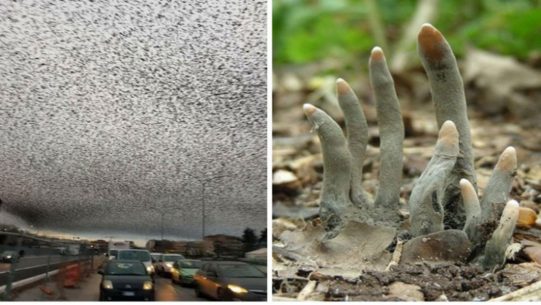 21 zdjęć pokazujących jak przerażająca może być natura! Od samego oglądania tych fotografii dostaje dreszczy!