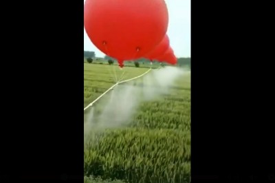 Nietypowy pomysł rolnika na wykorzystanie balonów podczas oprysków