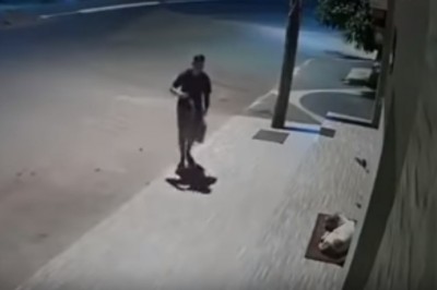 Pomoc bezdomnemu psu. Niewielki gest a przywraca wiarę w ludzi