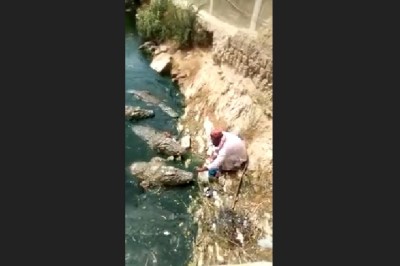 Koleś karmi dzikie krokodyle jakby były potulnymi pieskami