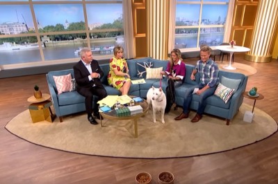 Pies zawstydził wegankę w programie telewizyjnym na żywo :D