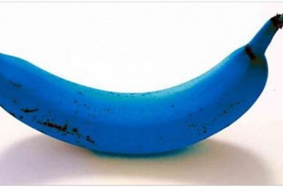 Zobacz co stanie się z Twoim ciałem kiedy będziesz jadła 3 banany dziennie