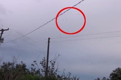 Patrząc w niebo był przekonany, że to ptaki. Jak zrozumiałem co to, od razu dostałem gęsiej skórki