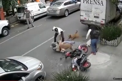 Wyrwał swojego psa ze szczęk pitbulla i obronił go własnym ciałem. Niesamowite poświecenie właściciela 