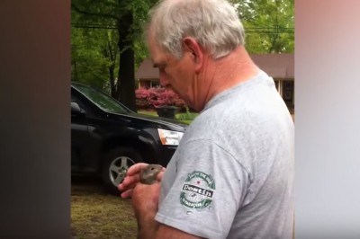 Starszy Pan wypuszczą na wolność wiewiórkę, którą przywrócił do życia. Niesamowita końcówka