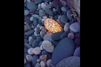 Znalazła wielki „yooperlite”, czyli niesamowity świecący kamień