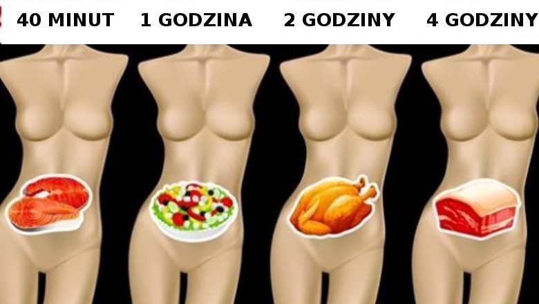 Jak długo zajmuje trawienie poszczególnych produktów? Dowiedz się, dlaczego to istotne dla Twojej wagi