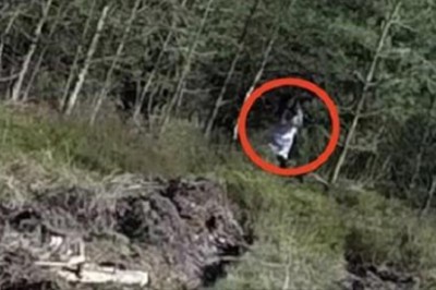 Natknęli się w lesie na staruszkę z dziecięcym wózkiem. W środku była lalka z wyłupanymi oczami 