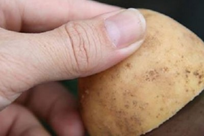 Sztuczka z połówką ziemniaka, którą powinien znać każdy kierowca. Może zaoszczędzić Ci sporo czasu