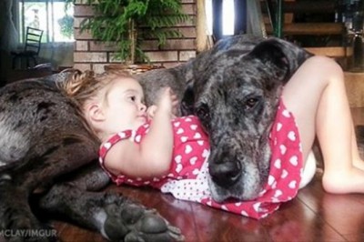 Te wspaniałe zdjęcia są idealnym dowodem, że pies jest najlepszym przyjacielem człowieka. Czasem jedynym 