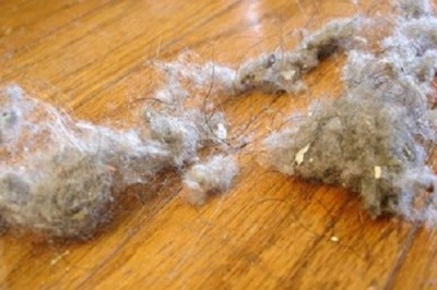 Chcesz, żeby w mieszkaniu nie tworzyły się kłęby kurzu? Wystarczy płyn który na pewno masz w łazience