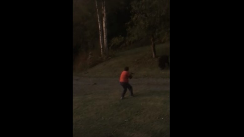 Oko w oko z niedźwiedzicą Grizzly. Majty miał pewnie pełne