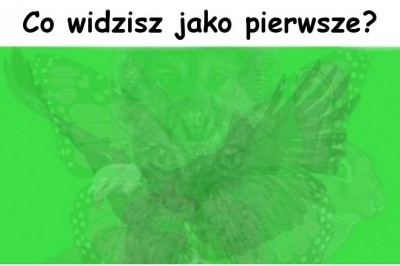 To, które ze zwierząt na obrazku dostrzeżesz jako pierwsze, mówi o tym, jaką jesteś osobą. Sprawdź swój wybór