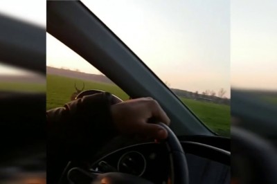 Pędzący jeleń kontra samochód. Niesamowity film w z Wielkopolski nagrany przez pasażera 