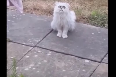 Ziomek rozwalił system swoją reakcją. Zaczął wołać mamę tak się wystraszył