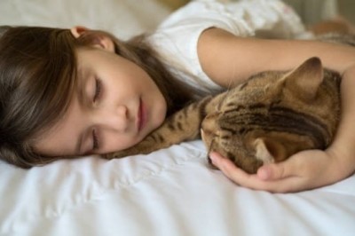 To są konsekwencje spania z kotem w łóżku. Podejrzewałam to, ale teraz badania to potwierdzają