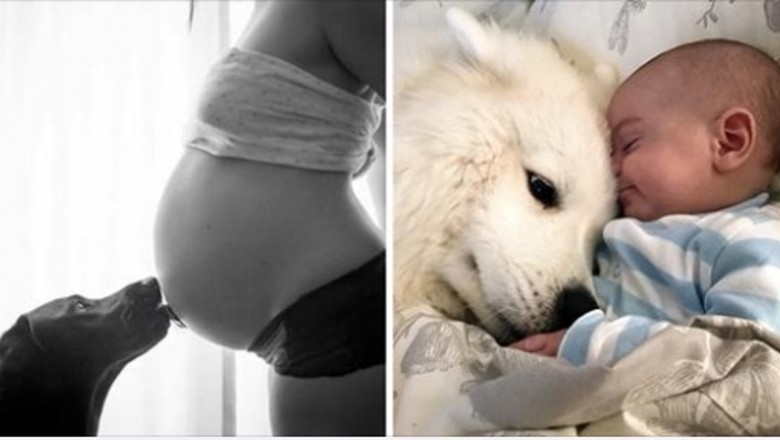7 niespodziewanych rzeczy, które potrafią wywąchać psy. Kilka z nich może wydawać się dziwne
