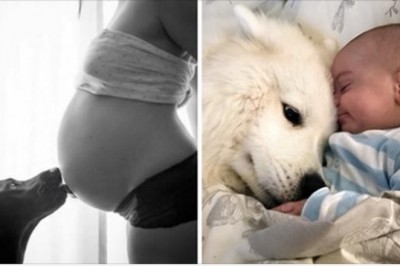 7 niespodziewanych rzeczy, które potrafią wywąchać psy. Kilka z nich może wydawać się dziwne 