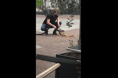 Chłopaki nie wierzyli w to co widzą. Pewna pani poczuła jesień na podwórku