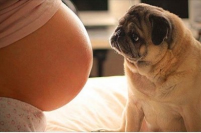 Zapierające dech w piersiach zdjęcia, które każdego mogą doprowadzić do łez. To po prostu rzeczywistość 