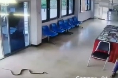 Siedzisz sobie spokojnie w poczekalni, a tu nagle startuje do Ciebie wąż