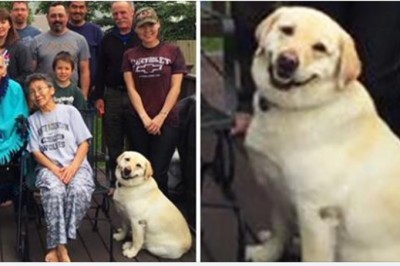 16 zdjęć idealnie uchwyconych w czasie. Udało się uwiecznić coś nietypowego 