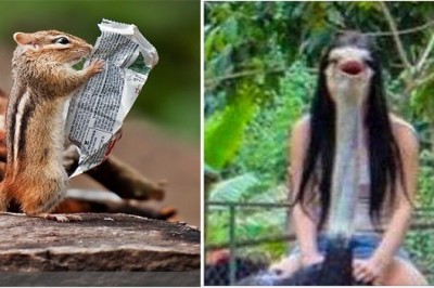 Zdjęcia zwierzaków zrobione w idealnym momencie. Oglądając je będziesz się zastanawiać jak to możliwe 