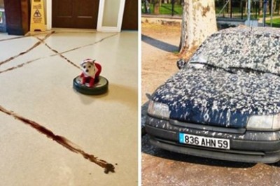 Ludzie dzielą się momentami, kiedy życie wzięło ich totalnie z zaskoczenia. Tego nie mogli przewidzieć 