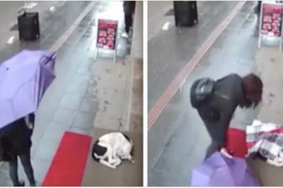 Zobaczyła bezdomnego psa na ulicy i nie mogła przejść obojętnie. Ludzie są zachwyceni jej gestem 