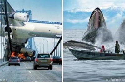 30 zdjęć wykonanych dosłownie w idealnym momencie. Ciężko uwierzyć jak to uchwycili