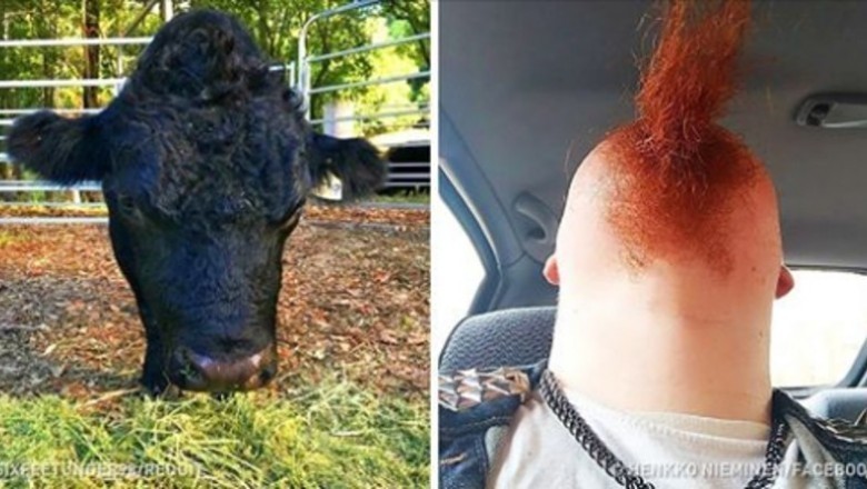 15 fascynujących zdjęć, które powstały zupełnie normalnie i bez Photoshopa. Zrozumiesz wszystkie?
