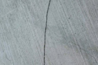 Z daleka wyglądają jak wąż. Procesja połączonych gąsienic o długości kilku metrów