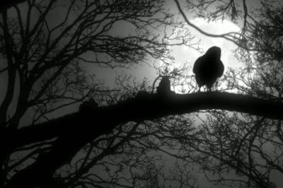 Chiny pod koniec roku wysyłają w kosmos sztuczny księżyc