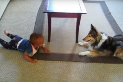 Zostawiła synka samego w pokoju z psem. Po chwili usłyszała głośny śmiech dziecka