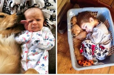 19 zdjęć udowadniających, że dzieci powinny wychowywać się ze zwierzakiem. To uczy je empatii