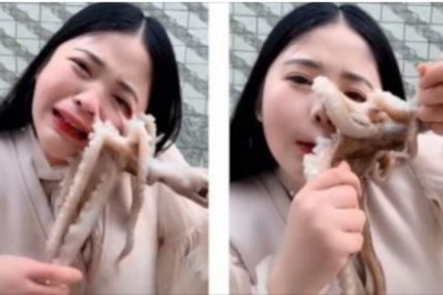 Próbowała zjeść żywą ośmiornicę. Zwierze postanowiło przyssać się do jej twarzy 