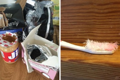  Kto tak otwiera opakowania? Ci ludzie zdali sobie sprawę, że mieszkają z „potworem”