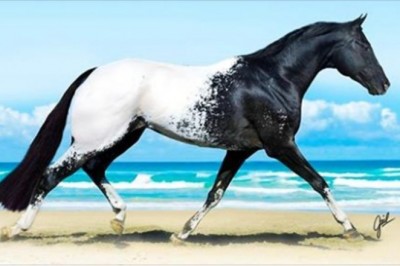 14 zwierząt tak rzadkich, że aż ciężko uwierzyć w ich istnienie. Prawdziwe cuda natury